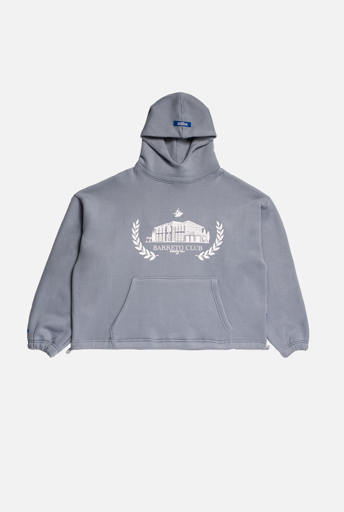 HOODIE BC GREY COACH