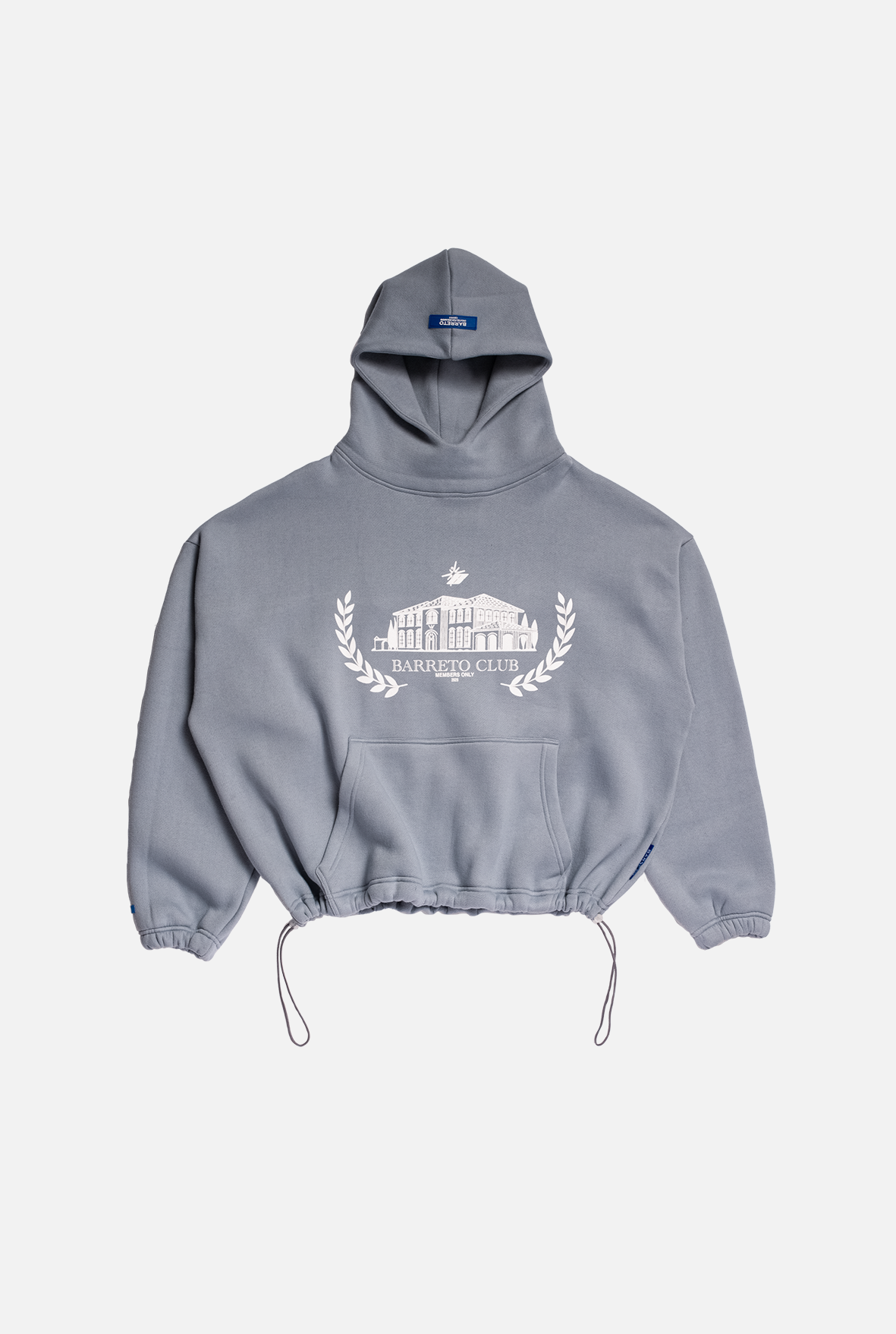 HOODIE BC GREY COACH