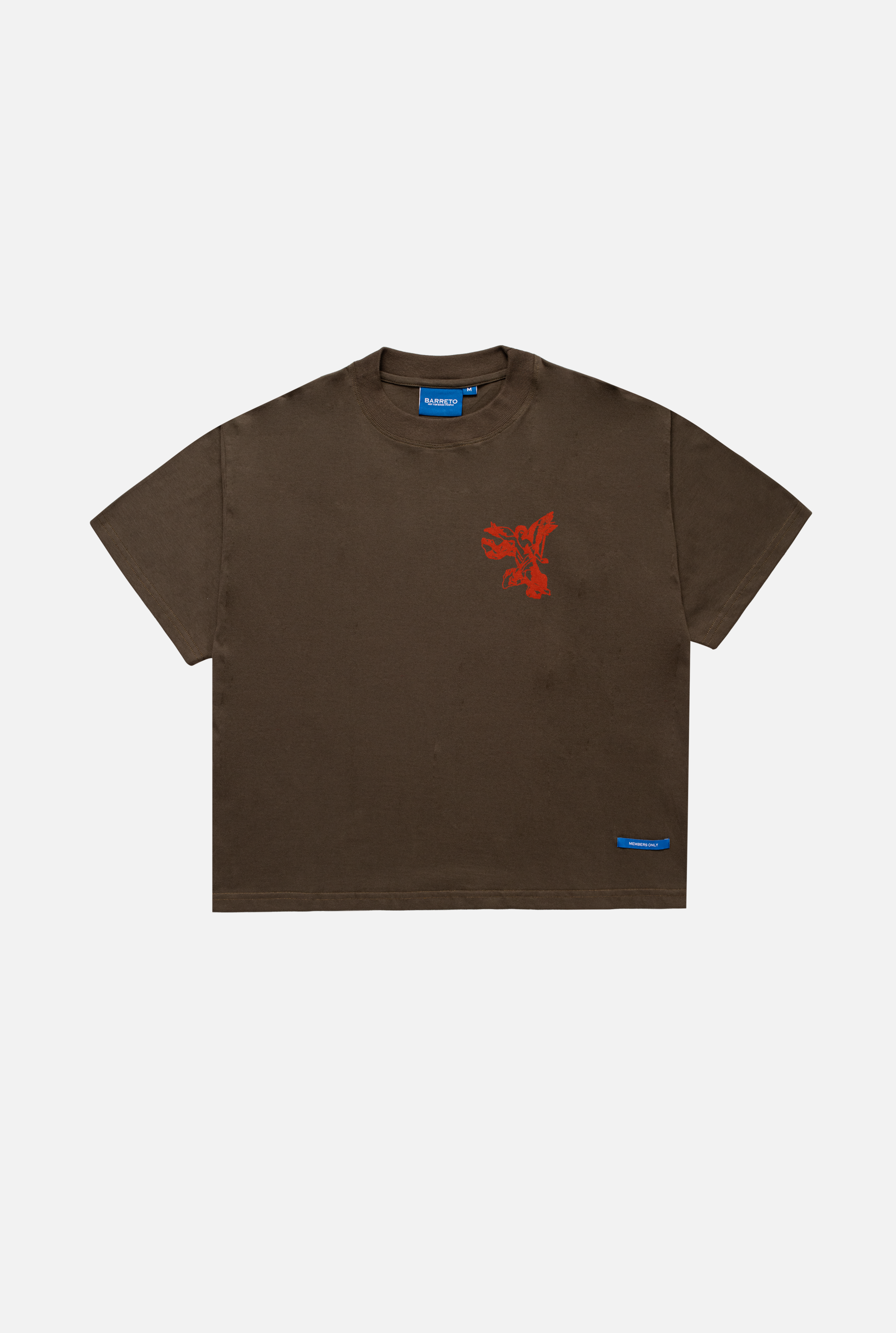 T-shirt green angel (BOXY)