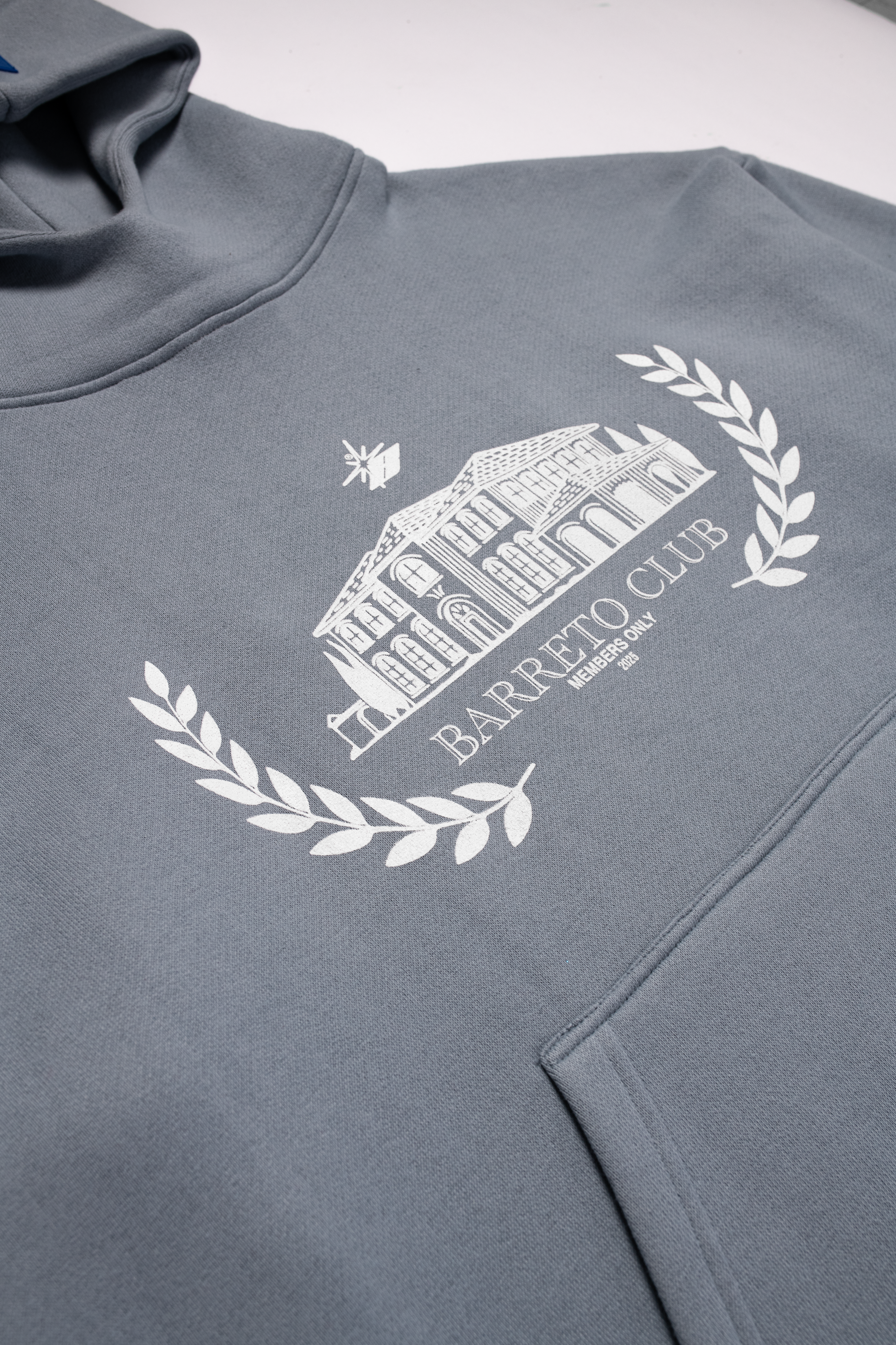 HOODIE BC GREY COACH